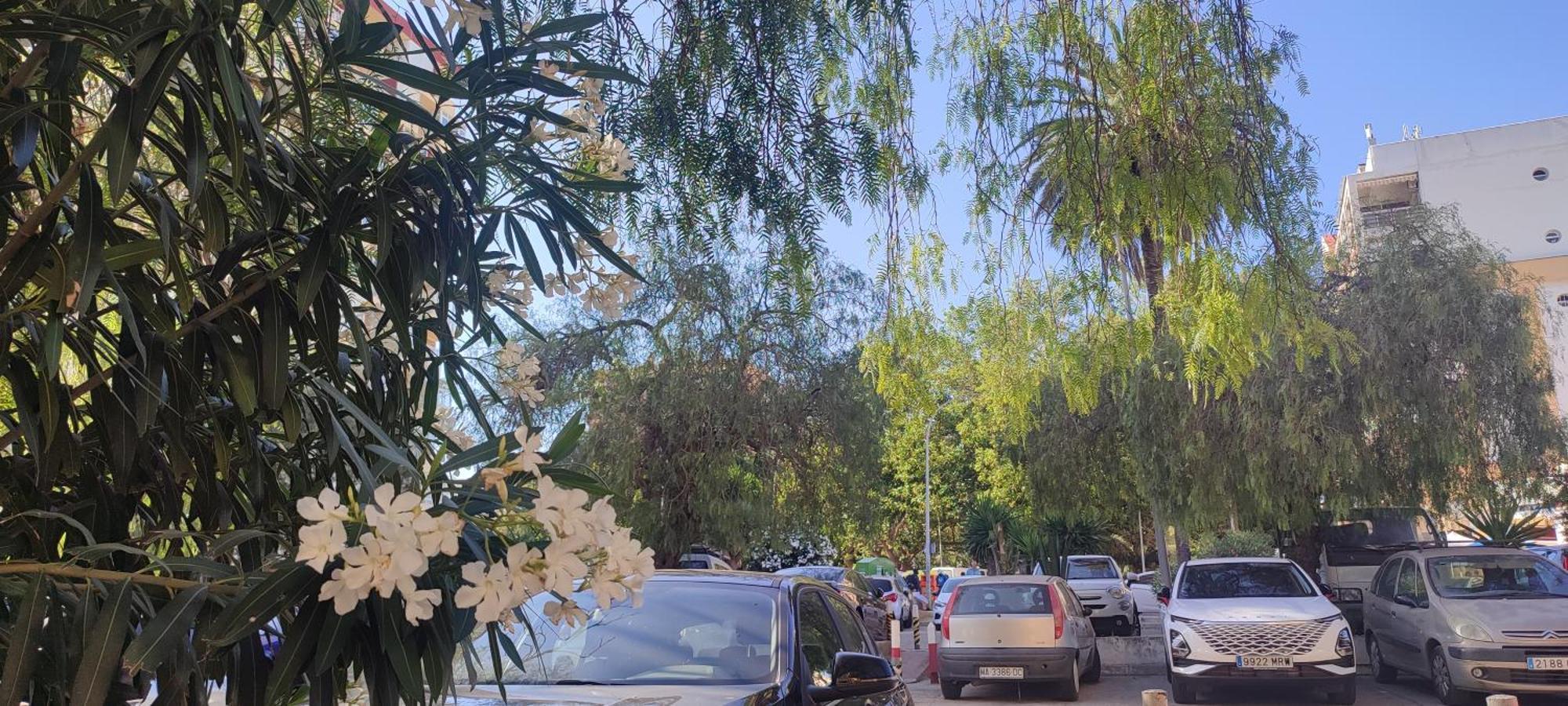Apartamento Aguila, Arroyo De La Miel, Benalmadena Bagian luar foto